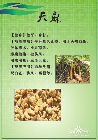 中医药材灵芝鹿茸等