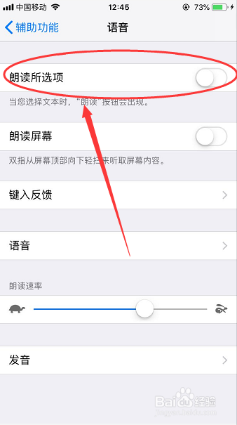 iPhone怎么开启朗读功能
