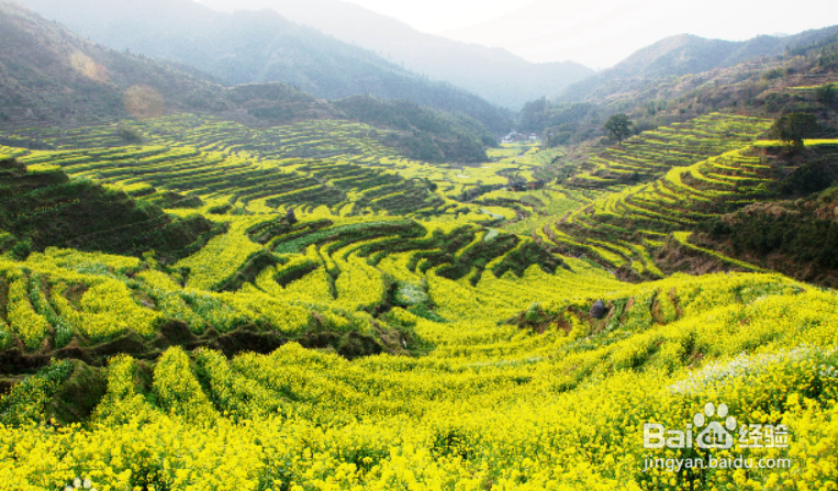 带孩子旅游尽量去哪一类型的景点?
