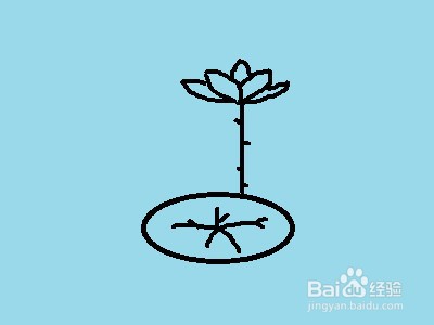 简笔画系列之怎样画荷花