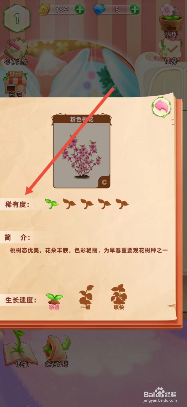 花花姑娘如何查看粉色桃花的【稀有度】