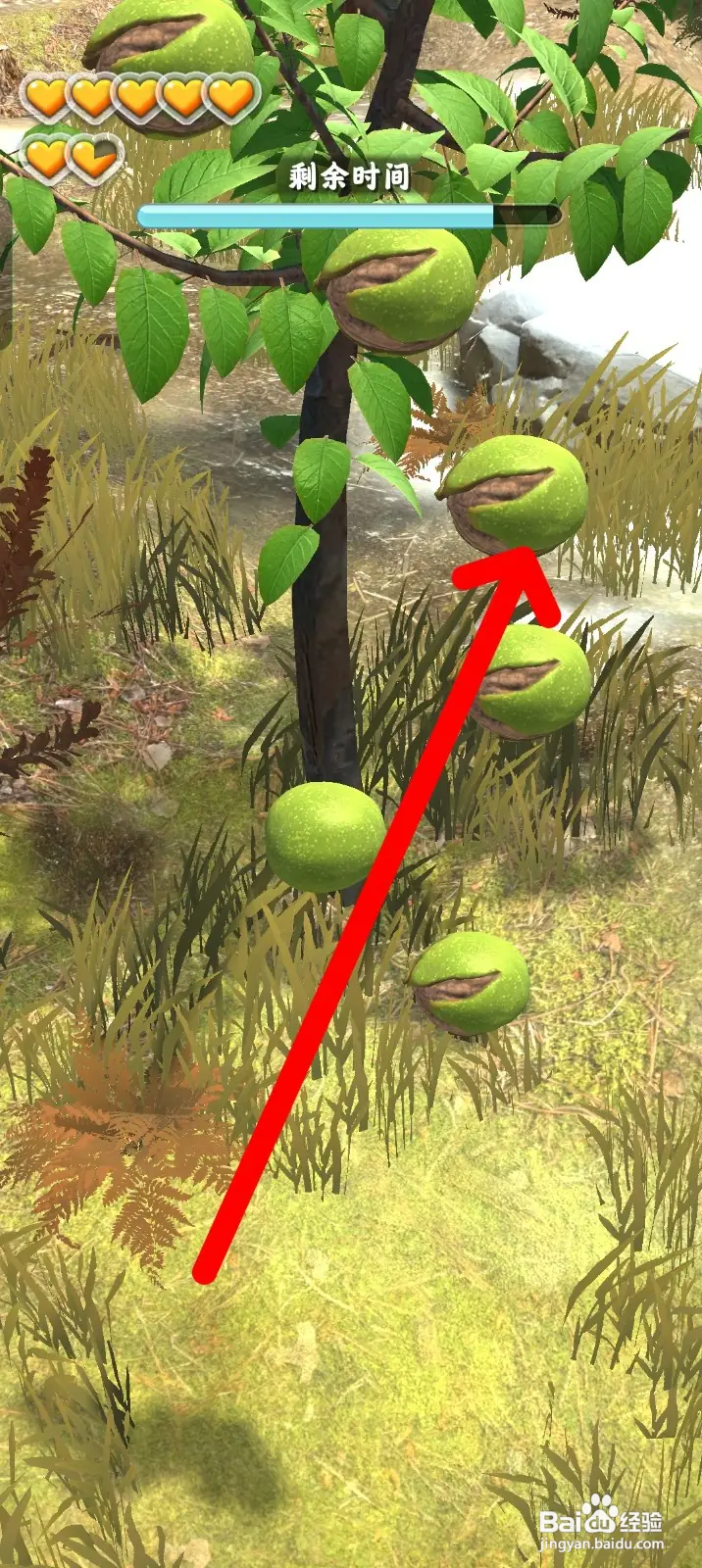 夺笋高手如何获得核桃