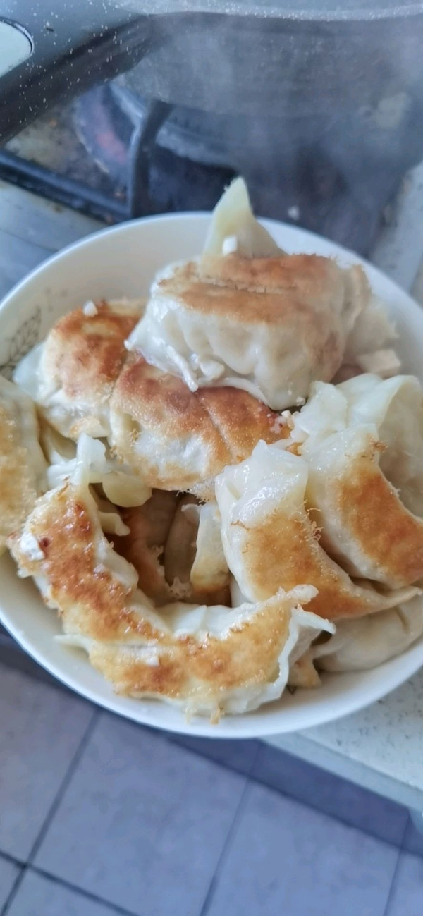 萝卜豆腐锅贴饺子