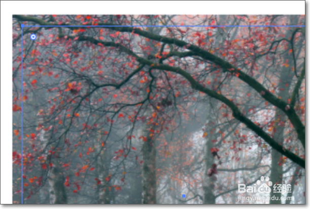 在AI里面如何设置裁切线？