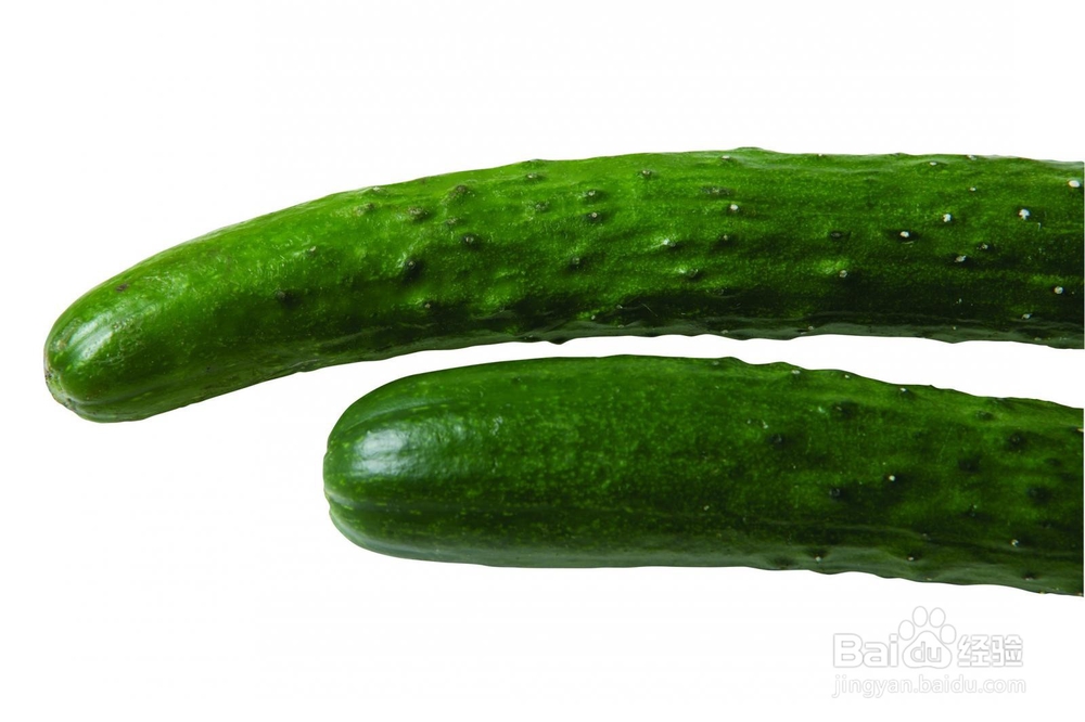 黄瓜的养生作用