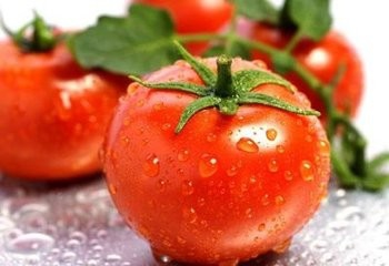 西红柿的8种药用