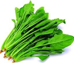 菠菜有什么医用价值?