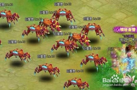 《梦幻飞仙》精神流--天师的王道之路