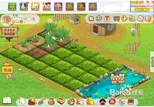 为什么我的qq农场打不开