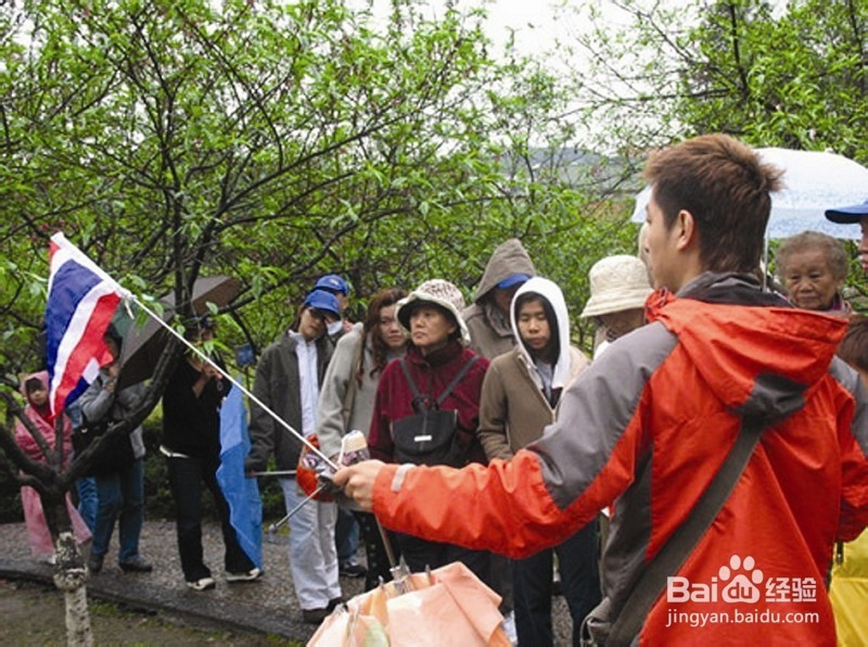 张家界旅游客栈