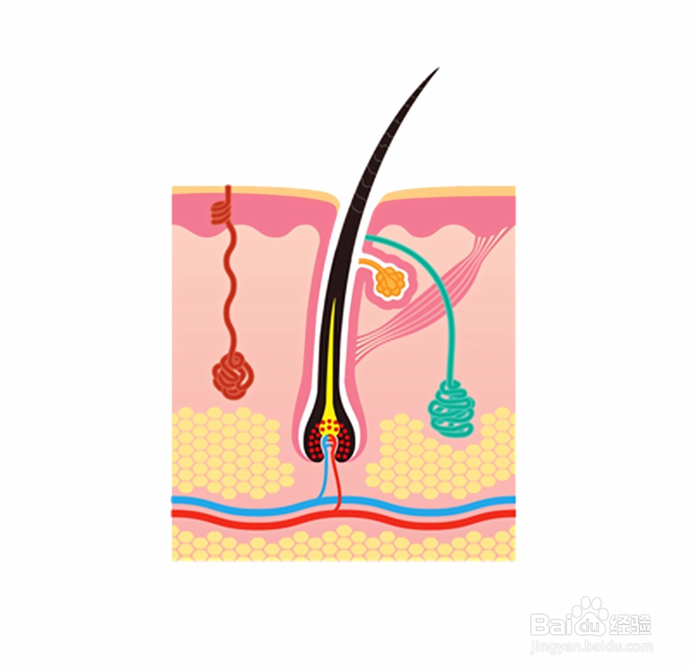 火山泥面膜泥可以祛痘去粉刺控油美白吗