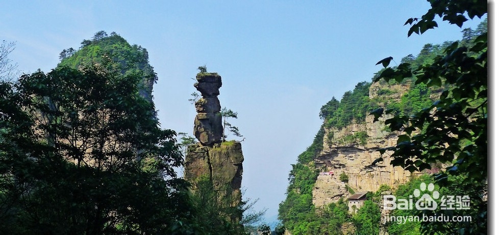 淄博到张家界自驾游