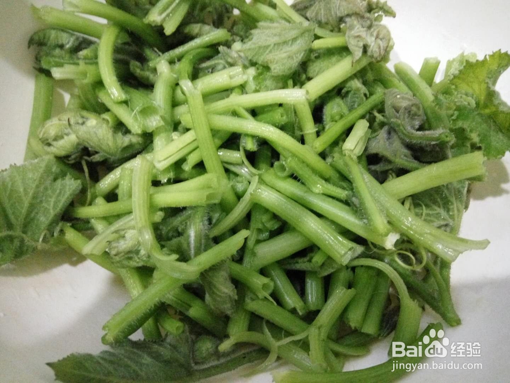 怎样做清爽可口的清炒南瓜藤？