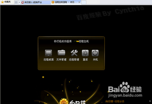 向日葵远程控制软件使用方法