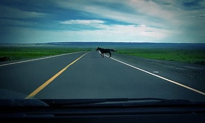 如何提升修养和气质