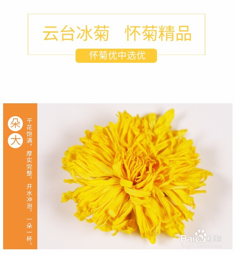 雁门冰菊泡水喝