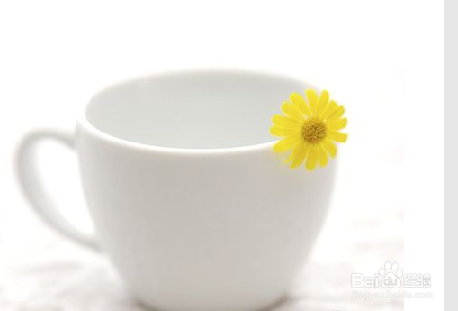 如何保持水杯洁净