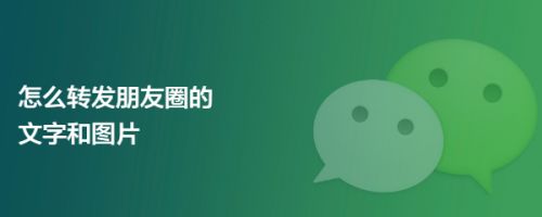 怎么转发朋友圈的文字和图片