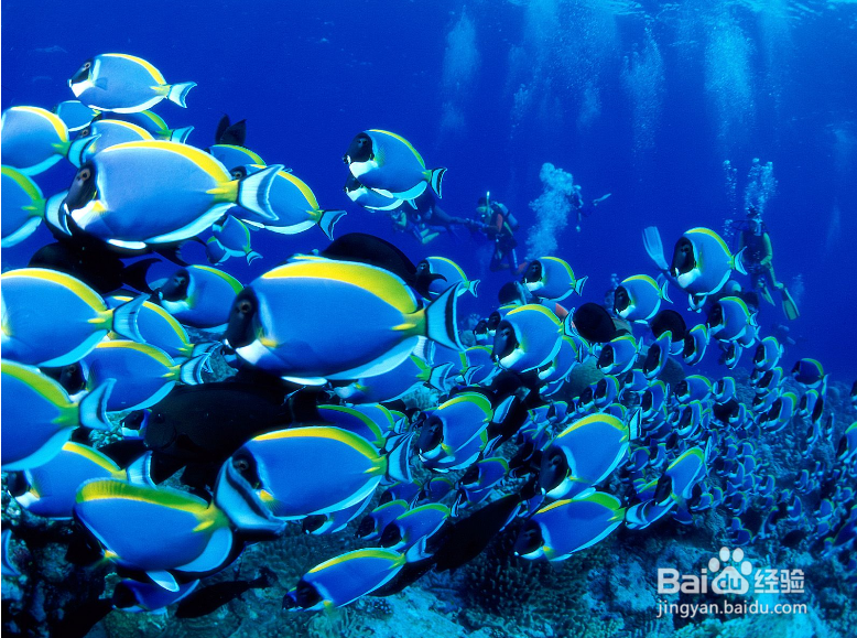 北京放暑假比较好玩的景点推荐