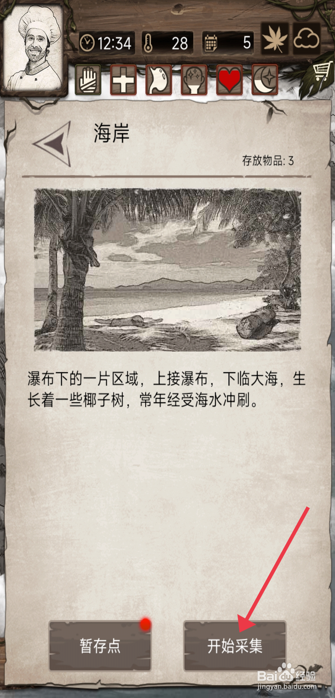 荒岛日记孤岛如何【在海岸采集】