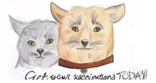 被汪星人咬了怎么办？