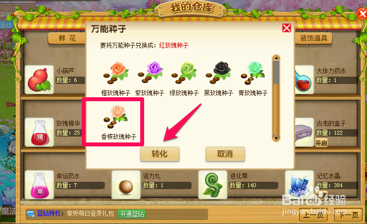 玫瑰小镇香槟玫瑰种子怎么获得