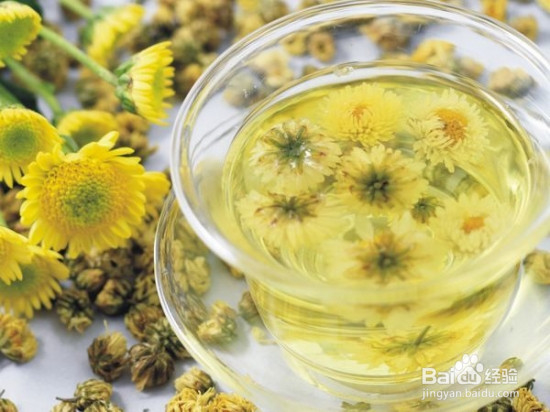 菊花麦冬茶的功效、喝法与挑选要点