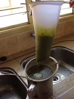 养生马草汁制作方法