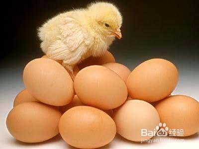 白皮鸡蛋和黄皮鸡蛋哪个更营养