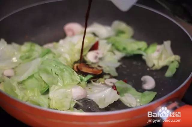 手撕包菜、口蘑卷心菜、包菜的美味做法!