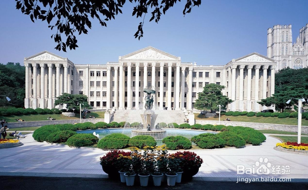 大学志愿填写策略