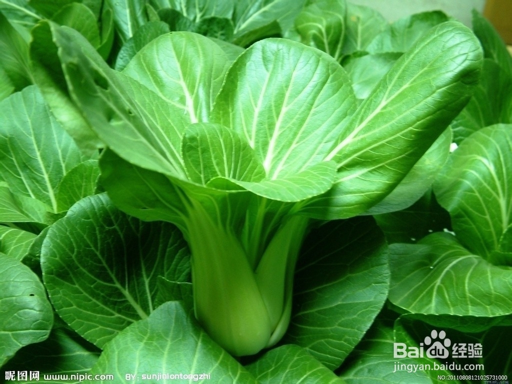 冬季如何预防感冒