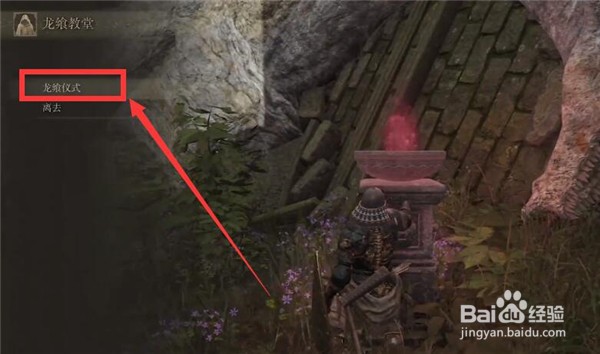 《艾尔登法环》龙之心怎么使用