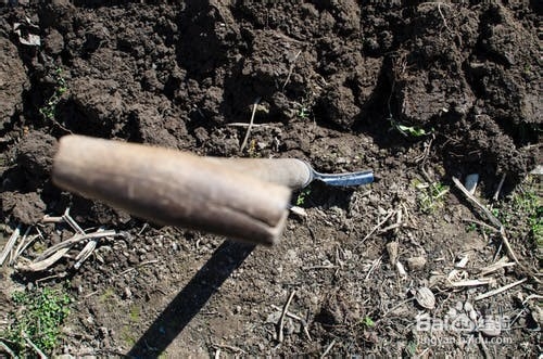 “非法占用耕地罪”法律修改对策建议