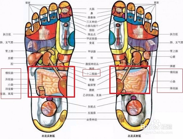 按摩调理营养不良