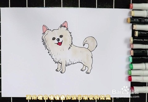 简笔画系列-怎么画蝴蝶犬简笔画