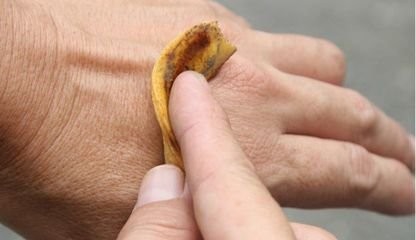 香蕉皮还能这么用