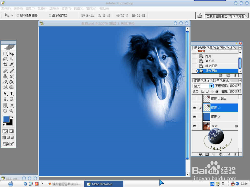 ps怎样抠毛发动物和头发3种方法