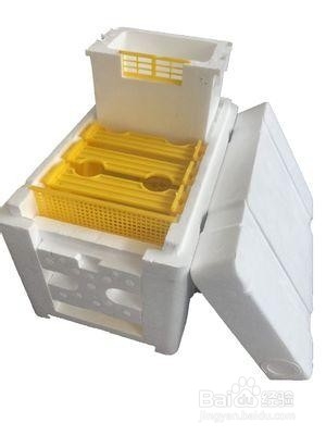 如何用泡沫制作蜂箱