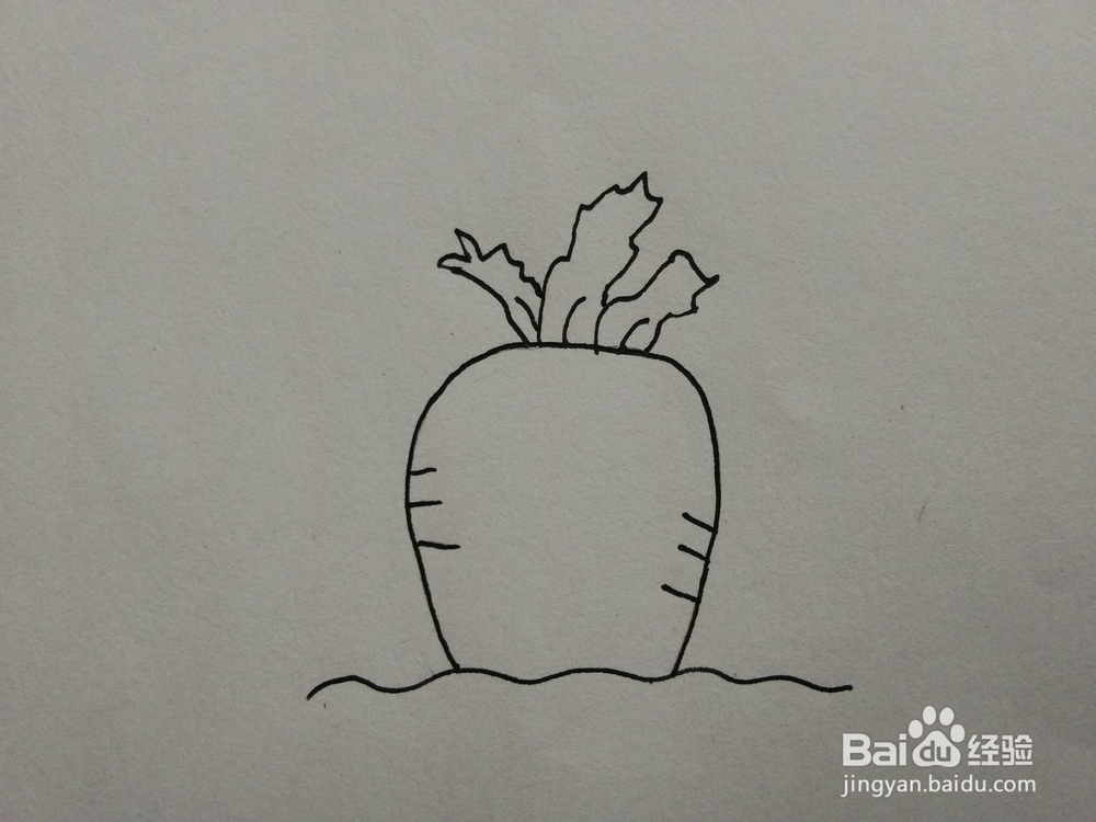 简笔画——怎么画小兔子和胡萝卜