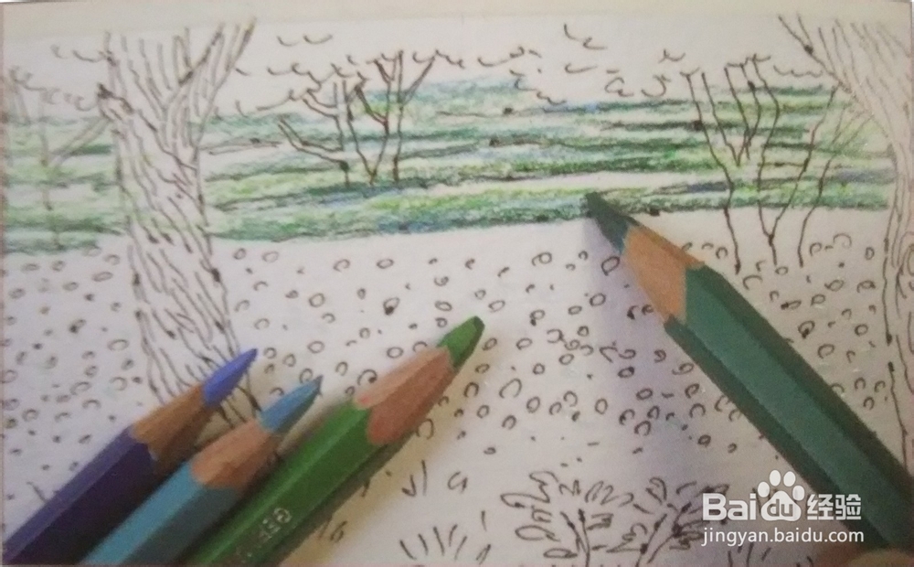 花草树木风景的画法