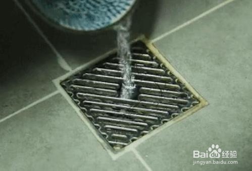 怎样驱除卫生间的小飞虫？