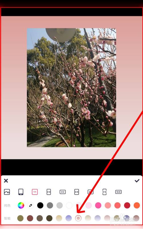 如何在美图秀秀中给图片制作背景?