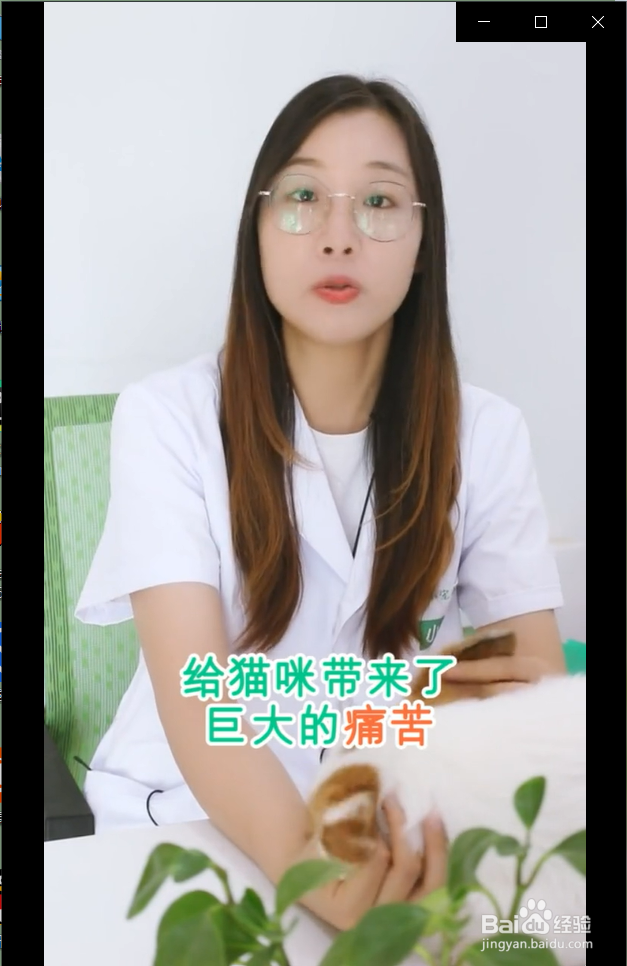 猫咪眼睛红肿流眼泪是怎么回事