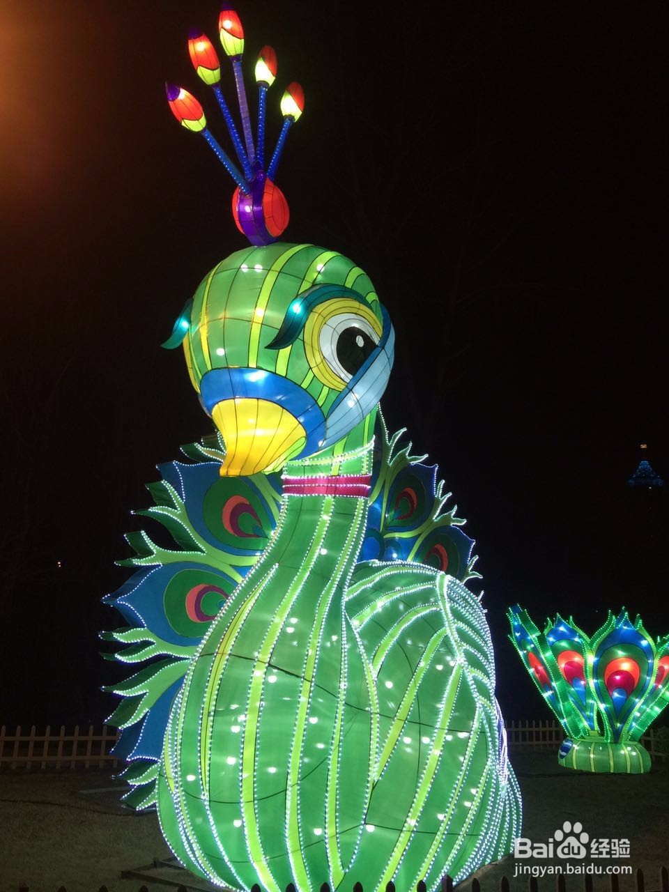 南京夫子庙灯会