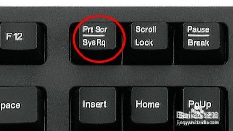 电脑截屏的快捷键是什么？