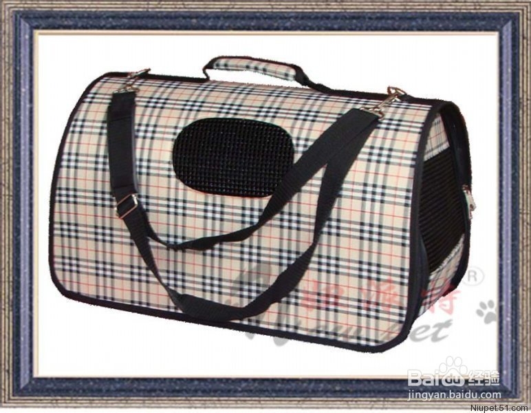 喵星人泌尿系统大作战：[1]诊断篇