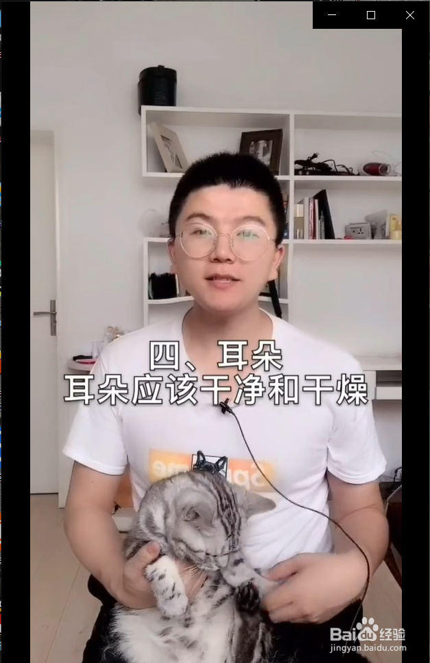 怎么在家给猫咪做体检