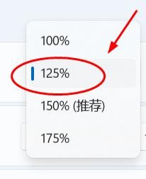 Windows11如何设置缩放的比例为125%