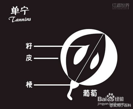 超赞的葡萄酒基础小知识